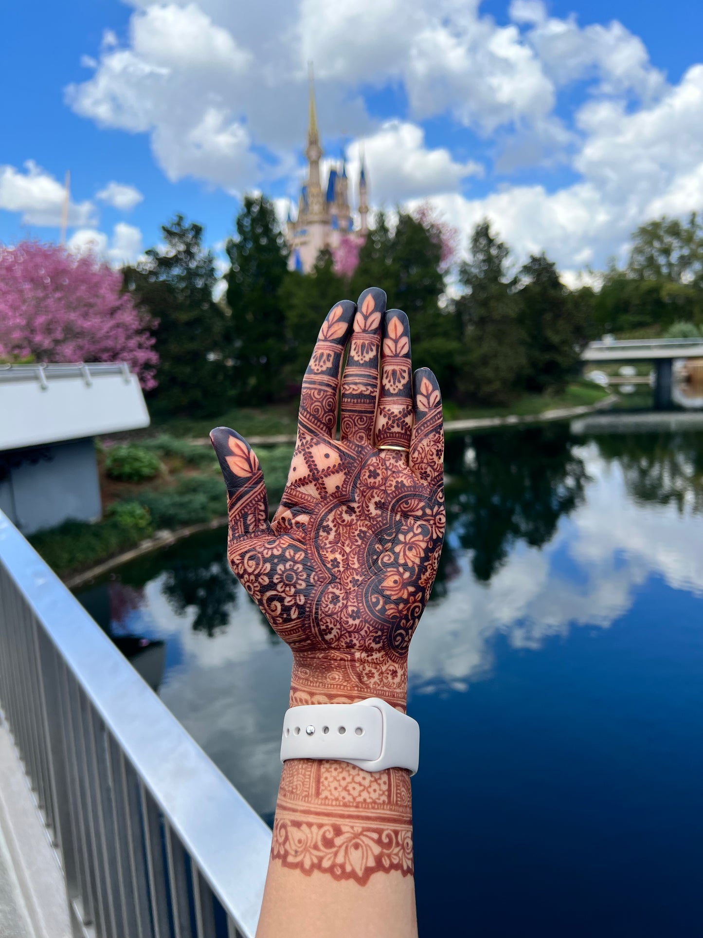 Natural Henna Cone | 18-20g